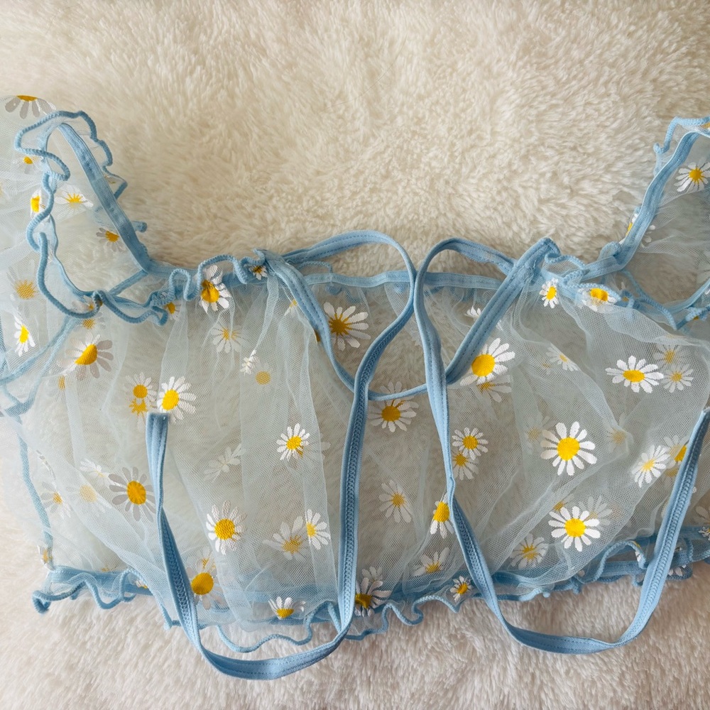 Floral Embroidered Sheer Daisy Blue Lingerie